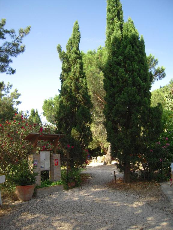Manade Cavallini - Mas De Pioch Saintes-Maries-de-la-Mer Bagian luar foto